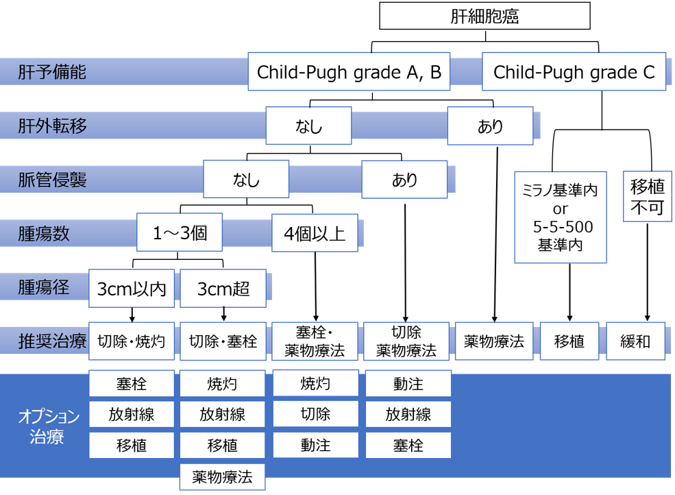 syoukai_08_01.png